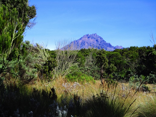 Foto: Andreas Koller / Wandertour / Climb and run: Kilimanjaro (5895m) / Mawenzi (5148m) / 14.04.2019 00:46:43