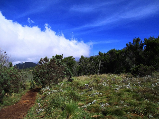 Foto: Andreas Koller / Wandertour / Climb and run: Kilimanjaro (5895m) / 14.04.2019 00:46:16
