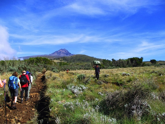 Foto: Andreas Koller / Wandertour / Climb and run: Kilimanjaro (5895m) / 14.04.2019 00:46:02