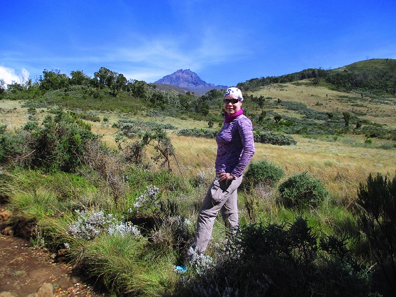 Foto: Andreas Koller / Wandertour / Climb and run: Kilimanjaro (5895m) / 14.04.2019 00:45:56