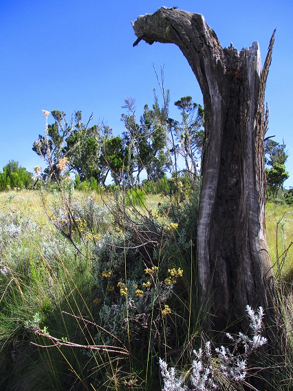 Foto: Andreas Koller / Wandertour / Climb and run: Kilimanjaro (5895m) / 14.04.2019 00:45:48