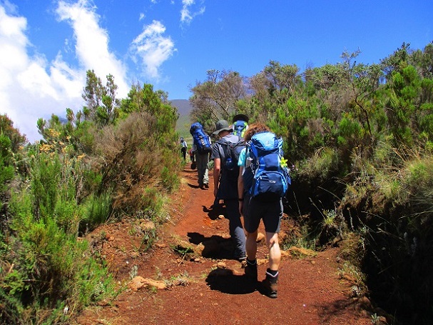 Foto: Andreas Koller / Wandertour / Climb and run: Kilimanjaro (5895m) / 14.04.2019 00:45:19