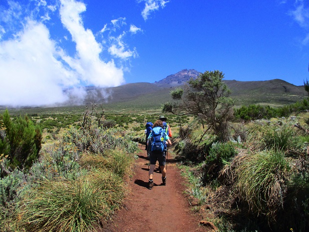 Foto: Andreas Koller / Wandertour / Climb and run: Kilimanjaro (5895m) / 14.04.2019 00:45:13
