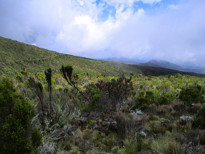 Foto: Andreas Koller / Wandertour / Climb and run: Kilimanjaro (5895m) / 14.04.2019 00:43:40