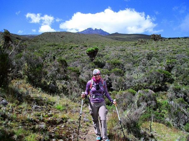Foto: Andreas Koller / Wandertour / Climb and run: Kilimanjaro (5895m) / 14.04.2019 00:43:33