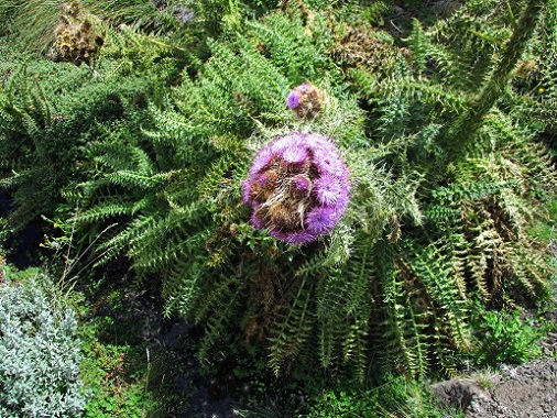Foto: Andreas Koller / Wandertour / Climb and run: Kilimanjaro (5895m) / 14.04.2019 00:43:25