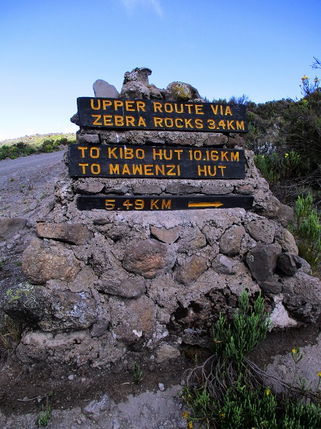 Foto: Andreas Koller / Wandertour / Climb and run: Kilimanjaro (5895m) / 14.04.2019 00:43:03