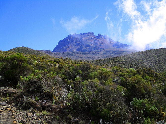 Foto: Andreas Koller / Wandertour / Climb and run: Kilimanjaro (5895m) / 14.04.2019 00:42:56