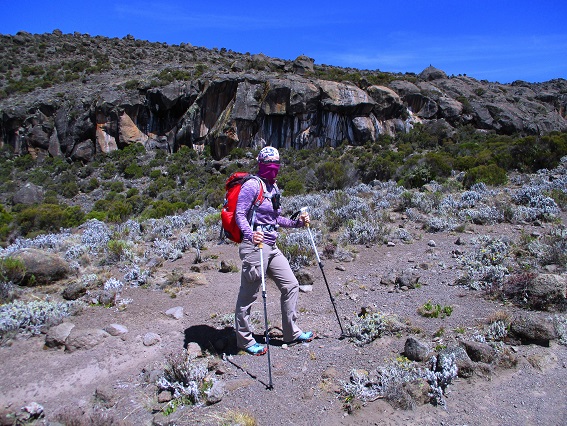 Foto: Andreas Koller / Wandertour / Climb and run: Kilimanjaro (5895m) / 14.04.2019 00:42:41