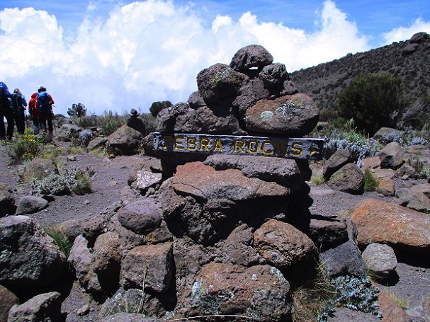 Foto: Andreas Koller / Wandertour / Climb and run: Kilimanjaro (5895m) / 14.04.2019 00:42:00