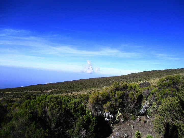 Foto: Andreas Koller / Wandertour / Climb and run: Kilimanjaro (5895m) / 14.04.2019 00:41:30