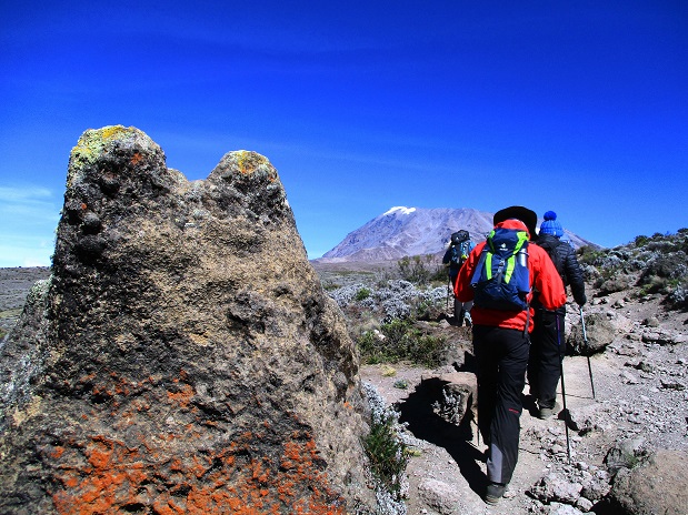 Foto: Andreas Koller / Wandertour / Climb and run: Kilimanjaro (5895m) / 14.04.2019 00:41:02