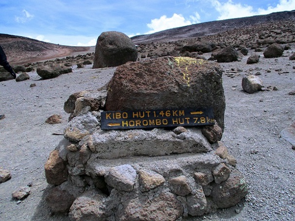 Foto: Andreas Koller / Wandertour / Climb and run: Kilimanjaro (5895m) / 14.04.2019 00:39:56
