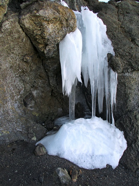 Foto: Andreas Koller / Wandertour / Climb and run: Kilimanjaro (5895m) / 14.04.2019 00:33:58
