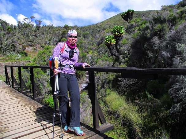 Foto: Andreas Koller / Wandertour / Climb and run: Kilimanjaro (5895m) / 14.04.2019 00:32:59