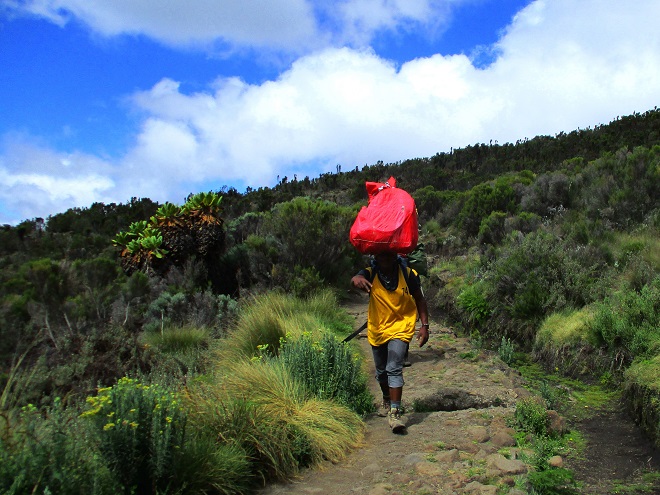 Foto: Andreas Koller / Wandertour / Climb and run: Kilimanjaro (5895m) / 14.04.2019 00:32:50