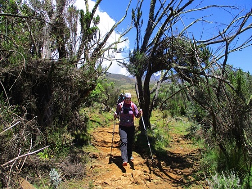 Foto: Andreas Koller / Wandertour / Climb and run: Kilimanjaro (5895m) / 14.04.2019 00:32:12