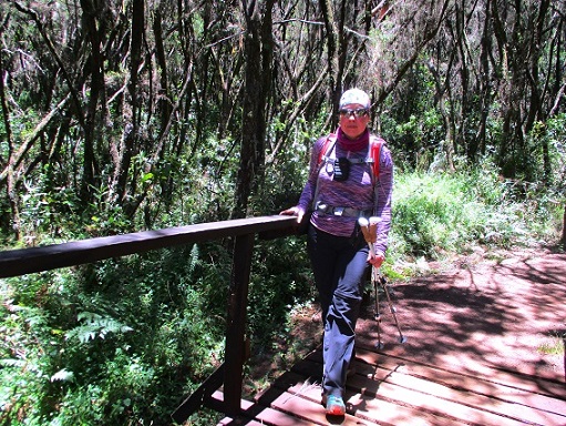 Foto: Andreas Koller / Wandertour / Climb and run: Kilimanjaro (5895m) / 14.04.2019 00:31:57