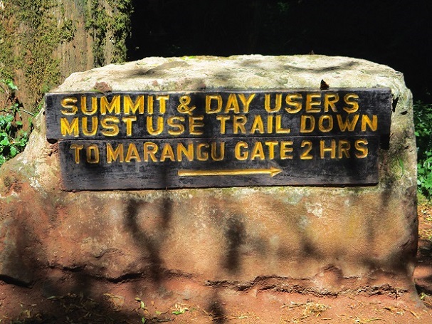 Foto: Andreas Koller / Wandertour / Climb and run: Kilimanjaro (5895m) / Klare Ansage! / 14.04.2019 00:31:28