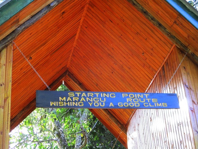 Foto: Andreas Koller / Wandertour / Climb and run: Kilimanjaro (5895m) / Zurück beim Marangu Gate / 14.04.2019 00:31:06