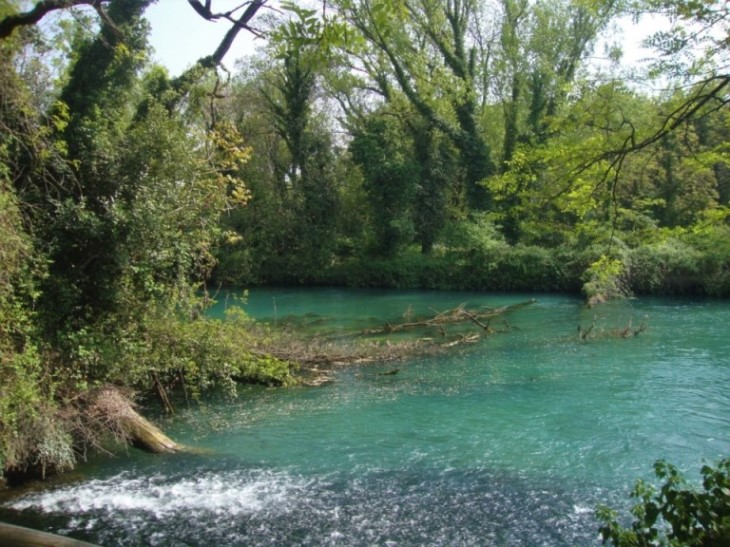 Foto: Wolfgang Dröthandl / Wandertour / Rilkeweg (Sentiero Rilke) von Duino nach Sistiana / Wenige Meter unterhalb der Straße ein verzauberter Ort... / 23.04.2019 13:26:01