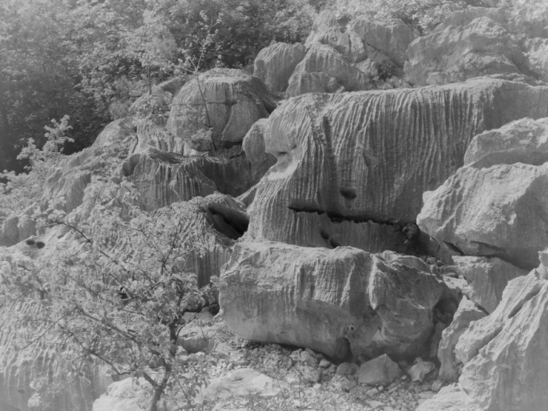 Foto: Wolfgang Dröthandl / Wandertour / Rilkeweg (Sentiero Rilke) von Duino nach Sistiana / Karst / 23.04.2019 13:35:36