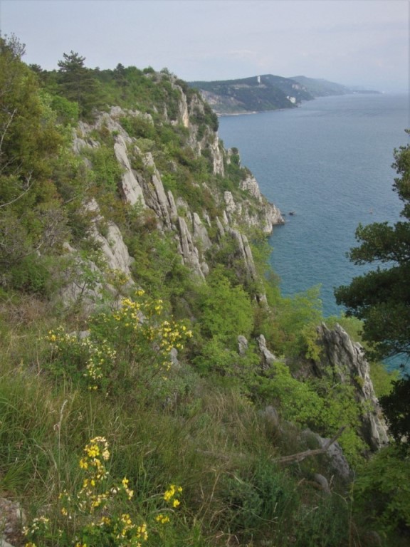Foto: Wolfgang Dröthandl / Wandertour / Rilkeweg (Sentiero Rilke) von Duino nach Sistiana / Auf dem Rilkeweg / 23.04.2019 13:39:48