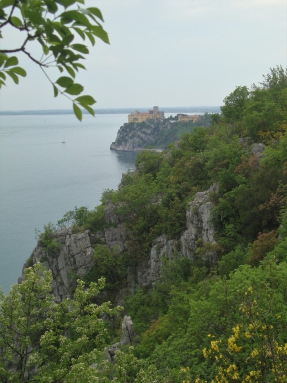 Foto: Wolfgang Dröthandl / Wandertour / Rilkeweg (Sentiero Rilke) von Duino nach Sistiana / Rückweg nach Duino / 23.04.2019 13:30:08