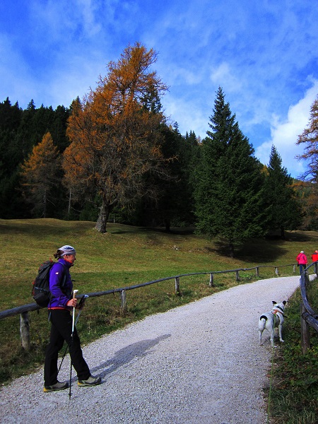 Foto: Andreas Koller / Wandertour / Rundtour Großer Laugen (2434m) / Auf den Großen Laugen / 25.04.2019 00:04:46