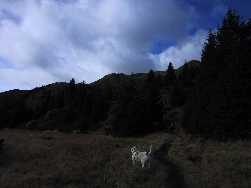 Foto: Andreas Koller / Wandertour / Rundtour Großer Laugen (2434m) / 25.04.2019 00:03:20