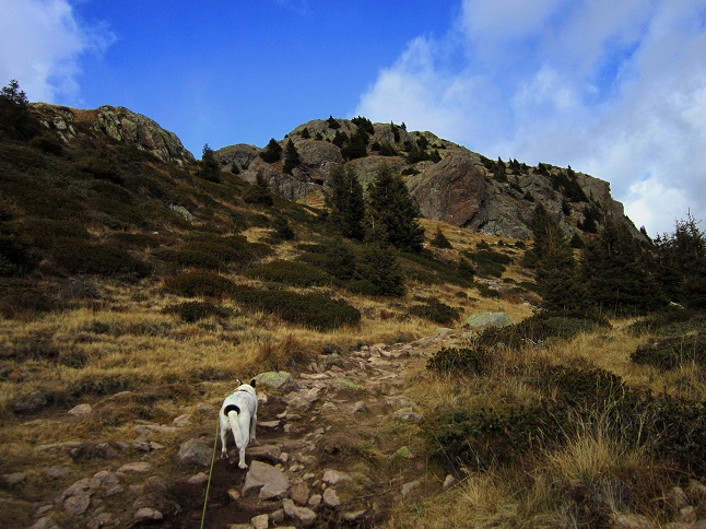 Foto: Andreas Koller / Wandertour / Rundtour Großer Laugen (2434m) / 25.04.2019 00:02:49