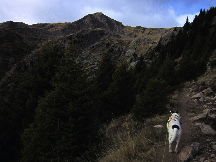 Foto: Andreas Koller / Wandertour / Rundtour Großer Laugen (2434m) / 25.04.2019 00:02:33