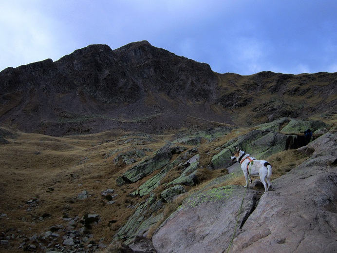 Foto: Andreas Koller / Wandertour / Rundtour Großer Laugen (2434m) / 25.04.2019 00:02:26