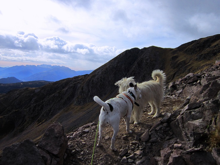 Foto: Andreas Koller / Wandertour / Rundtour Großer Laugen (2434m) / Begegnungen / 25.04.2019 00:00:39