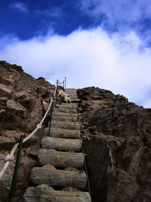 Foto: Andreas Koller / Wandertour / Rundtour Großer Laugen (2434m) / 25.04.2019 00:00:22