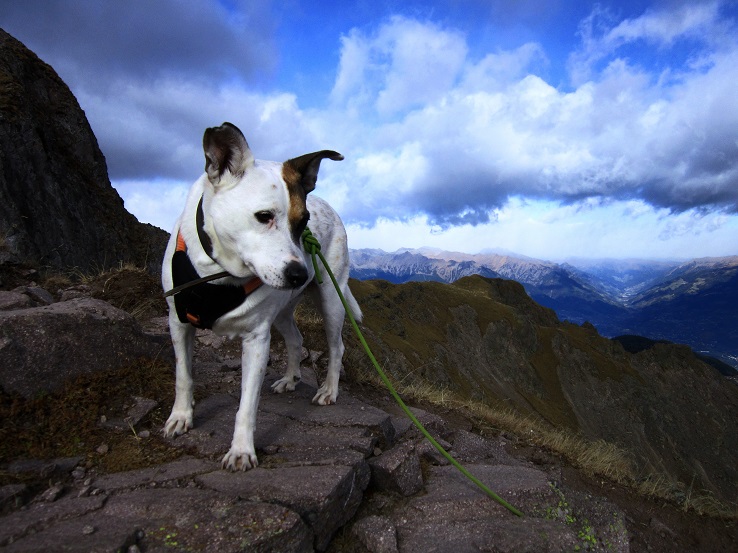 Foto: Andreas Koller / Wandertour / Rundtour Großer Laugen (2434m) / 25.04.2019 00:00:14