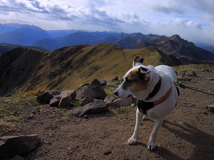 Foto: Andreas Koller / Wandertour / Rundtour Großer Laugen (2434m) / 24.04.2019 23:59:02