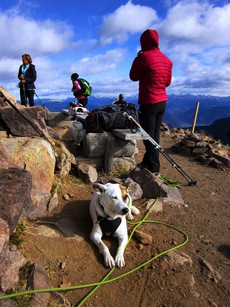 Foto: Andreas Koller / Wandertour / Rundtour Großer Laugen (2434m) / 24.04.2019 23:58:46