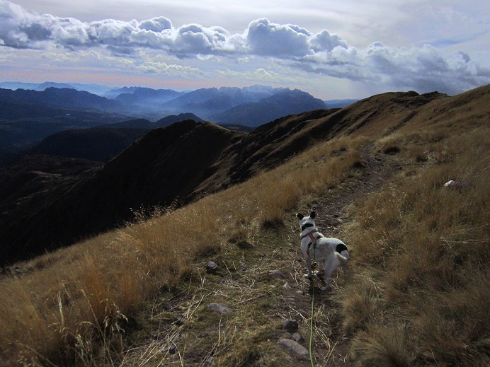 Foto: Andreas Koller / Wandertour / Rundtour Großer Laugen (2434m) / 24.04.2019 23:57:26