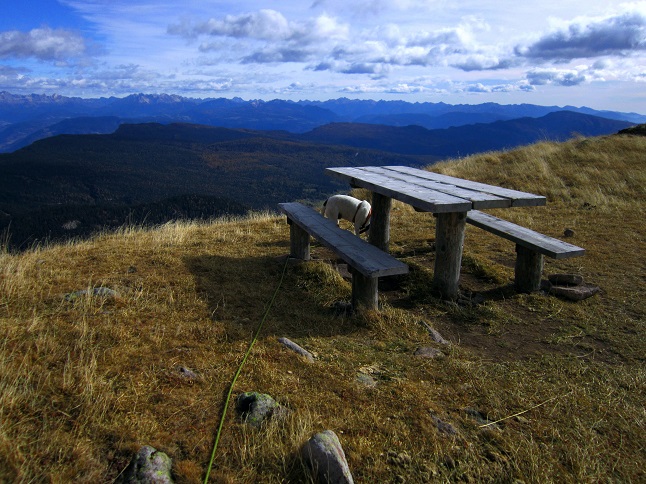 Foto: Andreas Koller / Wandertour / Rundtour Großer Laugen (2434m) / 24.04.2019 23:56:37