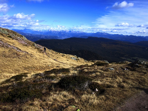 Foto: Andreas Koller / Wandertour / Rundtour Großer Laugen (2434m) / 24.04.2019 23:56:10