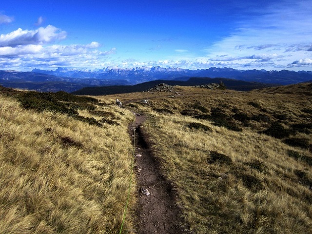 Foto: Andreas Koller / Wandertour / Rundtour Großer Laugen (2434m) / 24.04.2019 23:56:02