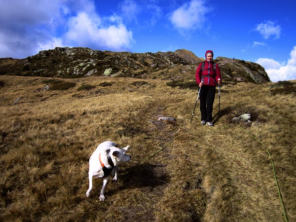 Foto: Andreas Koller / Wandertour / Rundtour Großer Laugen (2434m) / 24.04.2019 23:55:47