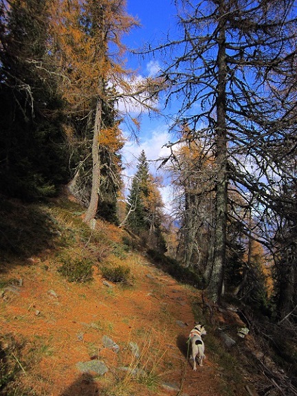 Foto: Andreas Koller / Wandertour / Rundtour Großer Laugen (2434m) / 24.04.2019 23:55:32