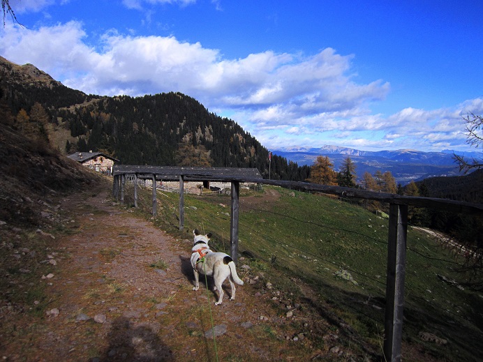 Foto: Andreas Koller / Wandertour / Rundtour Großer Laugen (2434m) / 24.04.2019 23:55:25