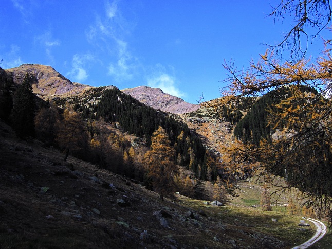 Foto: Andreas Koller / Wandertour / Rundtour Großer Laugen (2434m) / 24.04.2019 23:54:59