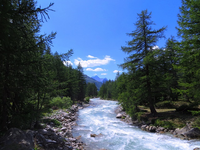 Foto: Andreas Koller / Wandertour / Im Val Ferret zum Rifugio Elena (2061m) / Wanderung im Val Ferret / 17.05.2019 02:33:00
