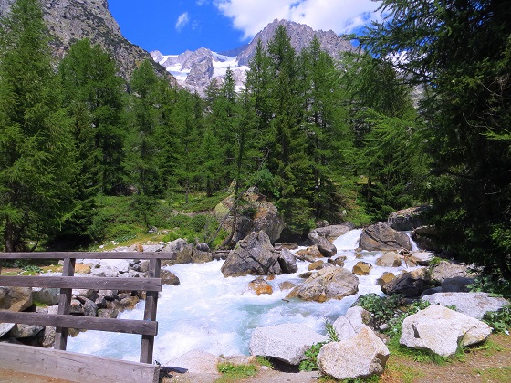 Foto: Andreas Koller / Wandertour / Im Val Ferret zum Rifugio Elena (2061m) / 17.05.2019 02:32:45