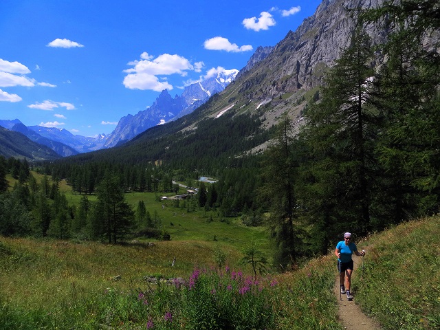 Foto: Andreas Koller / Wandertour / Im Val Ferret zum Rifugio Elena (2061m) / 17.05.2019 02:32:28