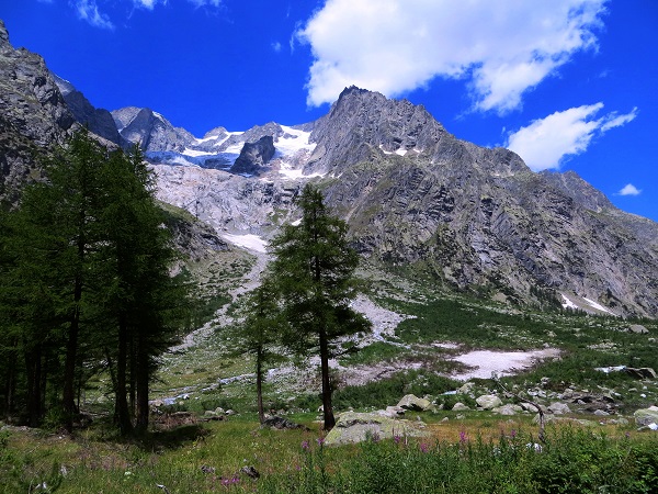 Foto: Andreas Koller / Wandertour / Im Val Ferret zum Rifugio Elena (2061m) / 17.05.2019 02:31:50